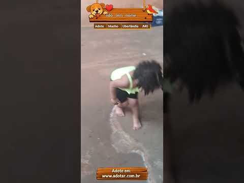 Vídeo de não tem nome