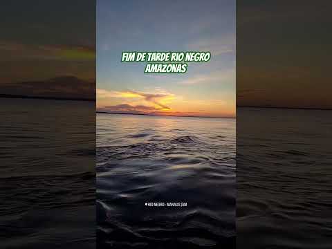 Rio Negro #amazonas #manaus #viral #foryou #fy #turismo #funny #shortsfeed #viralshort #fyp