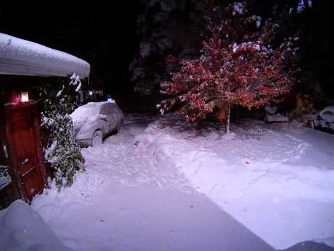 2011-10-29 October Snow Storm Time Lapse