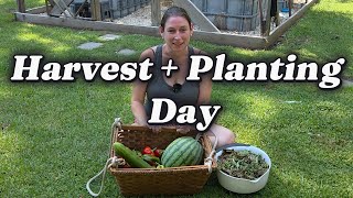 Harvesting Summer and Planting Fall