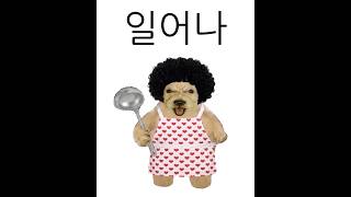 유튜브 썸네일