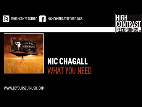 Nic Chagall - What You Need (Hard Dub)