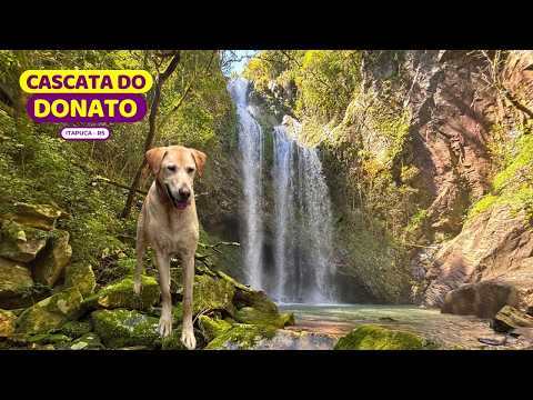 😱 ATENÇÃO nas pedras | Cascata do Donato | Itapuca