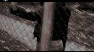 101 Ft. Marvelous D &amp; Sandra Olijade - Who&#39;s Foolin&#39; Who