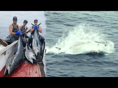 EPIC Drone Footage of Giant Bluefin Tuna Eating a California Flyer Lure
