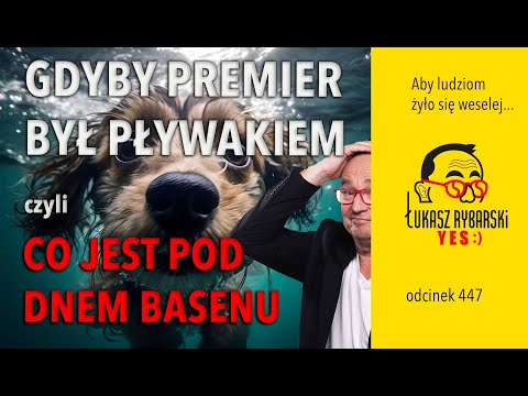 Gdyby premier był pływakiem YES:)odcinek 447