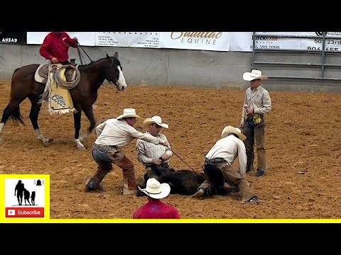 Calf Branding - 2022 Coors Cowboy Club Ranch Rodeo | Saturday