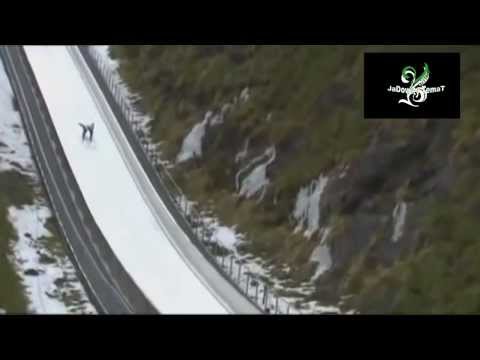 Reakcja Małysza na skok i upadek Thomasa Morgensterna