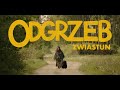 Odgrzeb - zwiastun