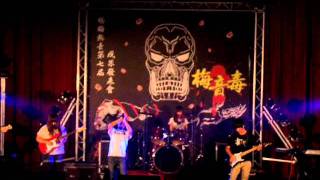 Rooster Staring At The Sun