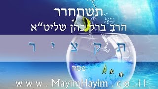 הרב ברק כהן - תשתחרר (לקט)