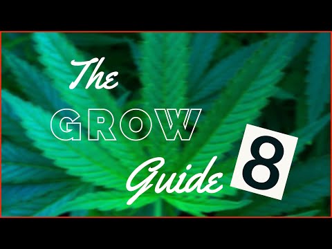 , title : 'Indoor Growing Guide [08] - Phasen der Cannabis Pflanze'