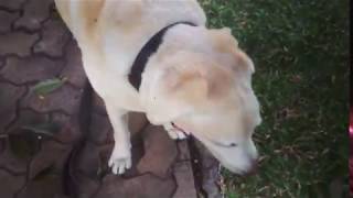 Through Grace, Light & Dark!