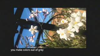 Video thumbnail of "kudasai - you make colors out of grey"
