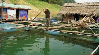 Making Fish Cages, Fishing and Selling to Traders, River Survival | EP.346