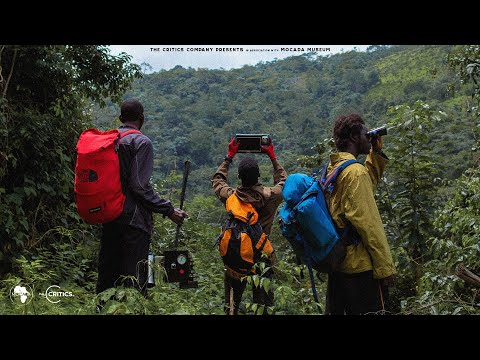 INTO THE WOODS (Mystery Horror Film)