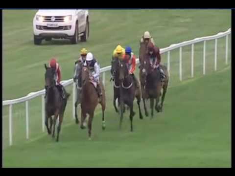 Aislabie 2030 Ripon  Jun 1 2016  SIS Maiden Stakes