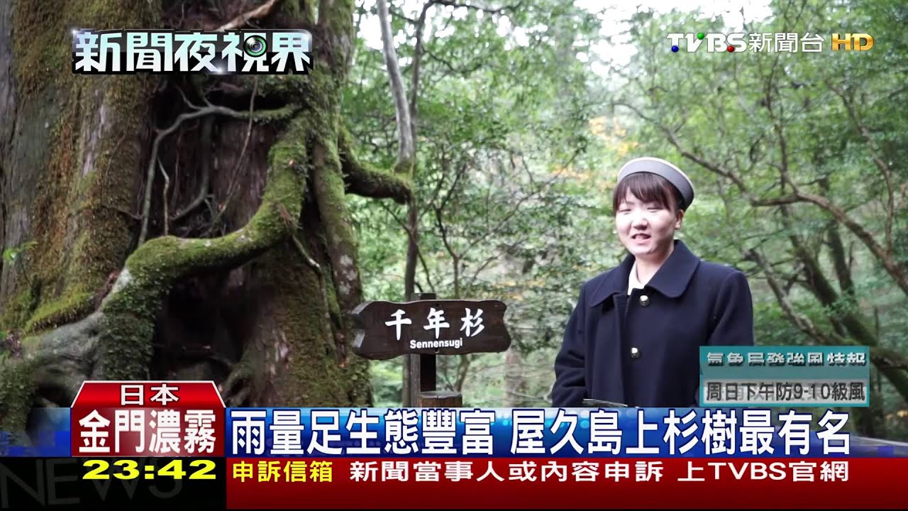 海上阿爾卑斯山　「屋久島」魔法公主舞台