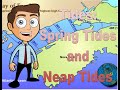 Tides Spring Tides And Neap Tides