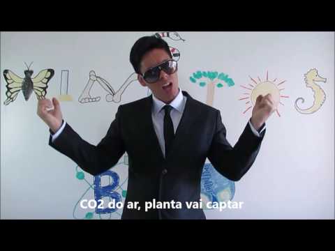 Fotossíntese Música