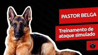 video guardog na mídia