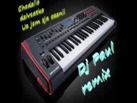 Chodzilo dzivcatko,Uz jem sja ozenil-Dj Paul remix