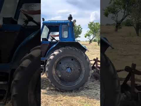 ДИТИНА КЕРУЄ ТРАКТОРОМ🚜🌾#трактор#мтз