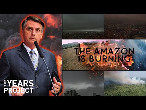 【環境教育】亞馬遜森林起火原因：我們都不該再置身事外！(Why The Amazon Rainforest Is Burning)