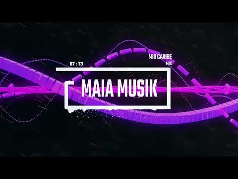 Bomba Estereo y Sistema Solar mix