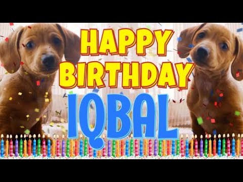 Happy Birthday Iqbal! ( Funny Talking Dogs ) What Is Free On My Birthday