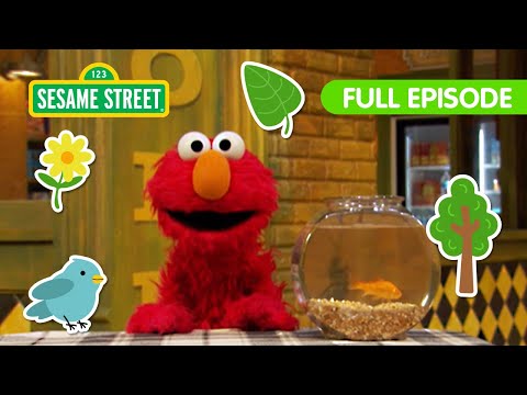 Explore Nature with Elmo! | FOUR Sesame Street Full Episodes