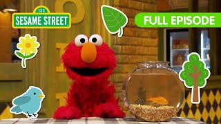 Explore Nature with Elmo! | FOUR Sesame Street Full Episodes