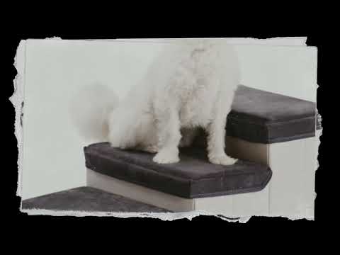 Sniff & Snag Spotlight  Unleashing Pawsome Product