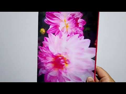 lenticular 3d video thumbnail