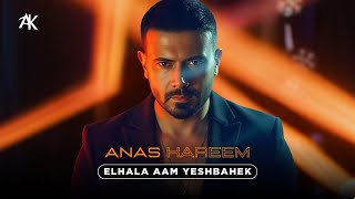 كلمات اغنية الحلا عم يشبهك انس كريم