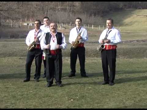 Ardeleana - Viorel Bordea - La birtutul de la moti