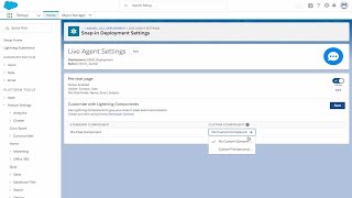 Service Cloud: Enhanced Customization for Web Snap-Ins
