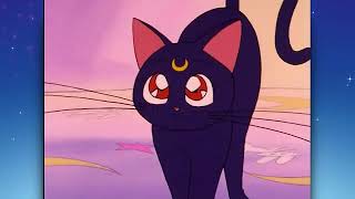 SAILOR MOON MEETS LUNA OFFICIAL CLIP