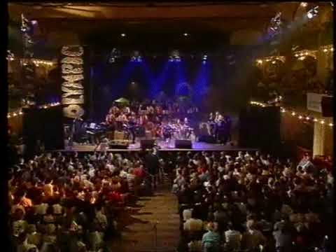 Olympic Květinový ditě mpeg2video