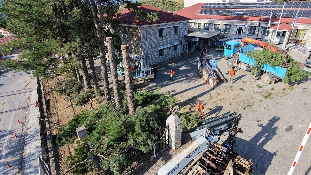 Κόβουν τα δέντρα στο Νοσοκομείο Καρπενησίου - Απόφαση της διοίκησης για λόγους ασφαλείας (12.9.26)