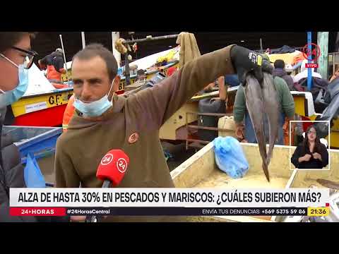 Alza de hasta 30% em pescados e mariscos ¿ Quantos subieron más?