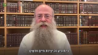 ממתק לשבת פרשת תזריע תשפ״ד (הרב נחמיה וילהלם) - התמונה מוצגת ישירות מתוך אתר האינטרנט יוטיוב. זכויות היוצרים בתמונה שייכות ליוצרה. קישור קרדיט למקור התוכן נמצא בתוך דף הסרטון