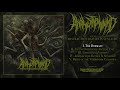 Anal Stabwound Abstraction Bathes In Sunlight Full Album Stream NSE 2021