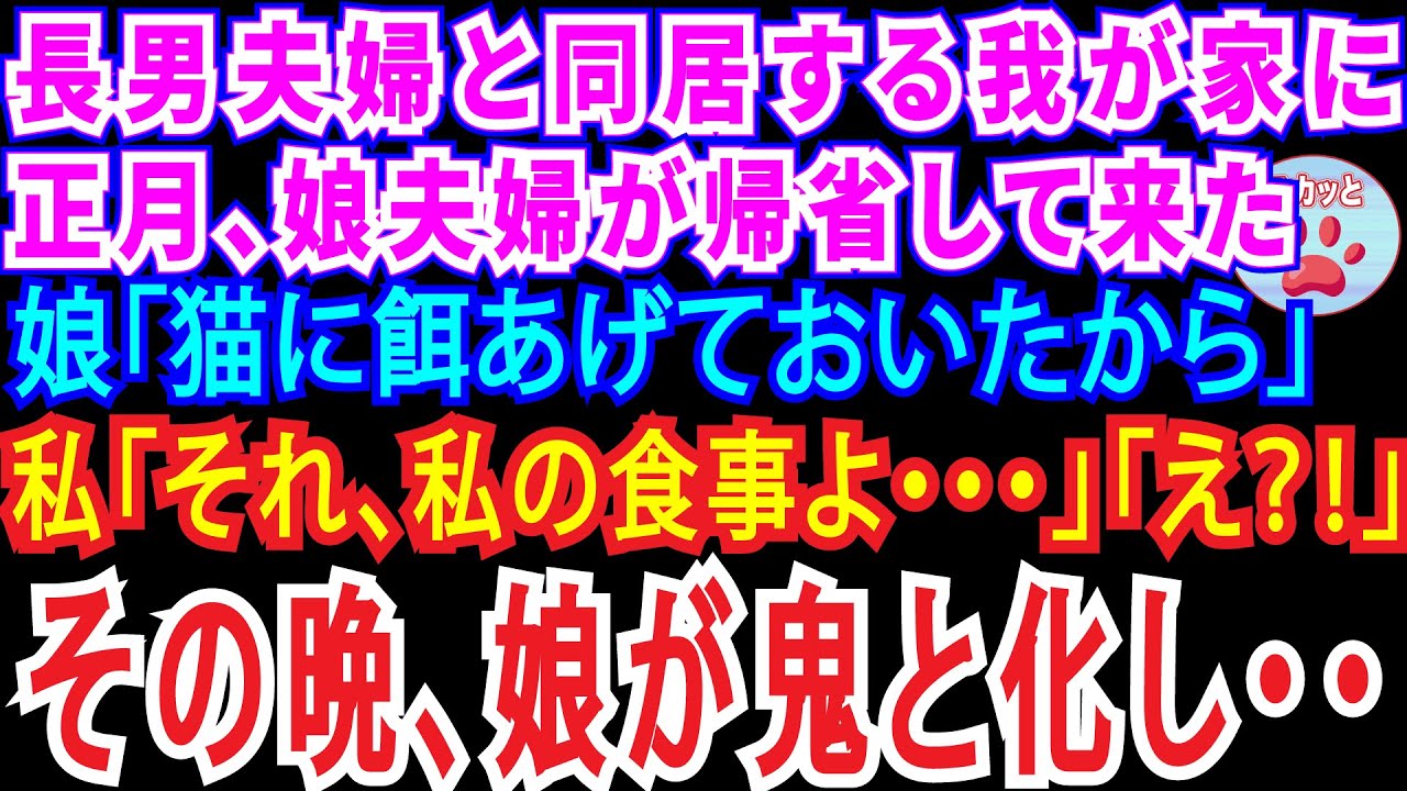 【スカッとする話】長男夫婦と同居する我が家に正月、娘夫婦が帰省してきた娘「さっき猫に餌あげたから」私「それ、私の食事よ…」娘「え？」⇒その晩、娘婿が鬼と化し…【修羅場】