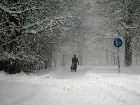 Saules Kliošas - Sninga