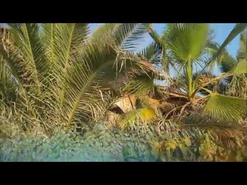 "La Vita Mia" - ( Amedeo Minghi )