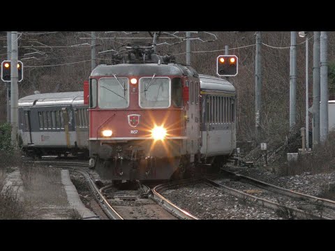2019-02-15 Ferrovia del Sempione - Transiti a Preglia 5/5