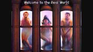 Sick Puppies - Nothing Really Matter&#39;s