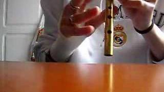 Humdrum - The Corrs Cover Tin Whistle