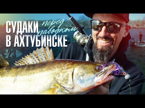 2.70M 8-35 грамм